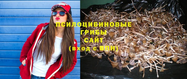 дживик Алексин